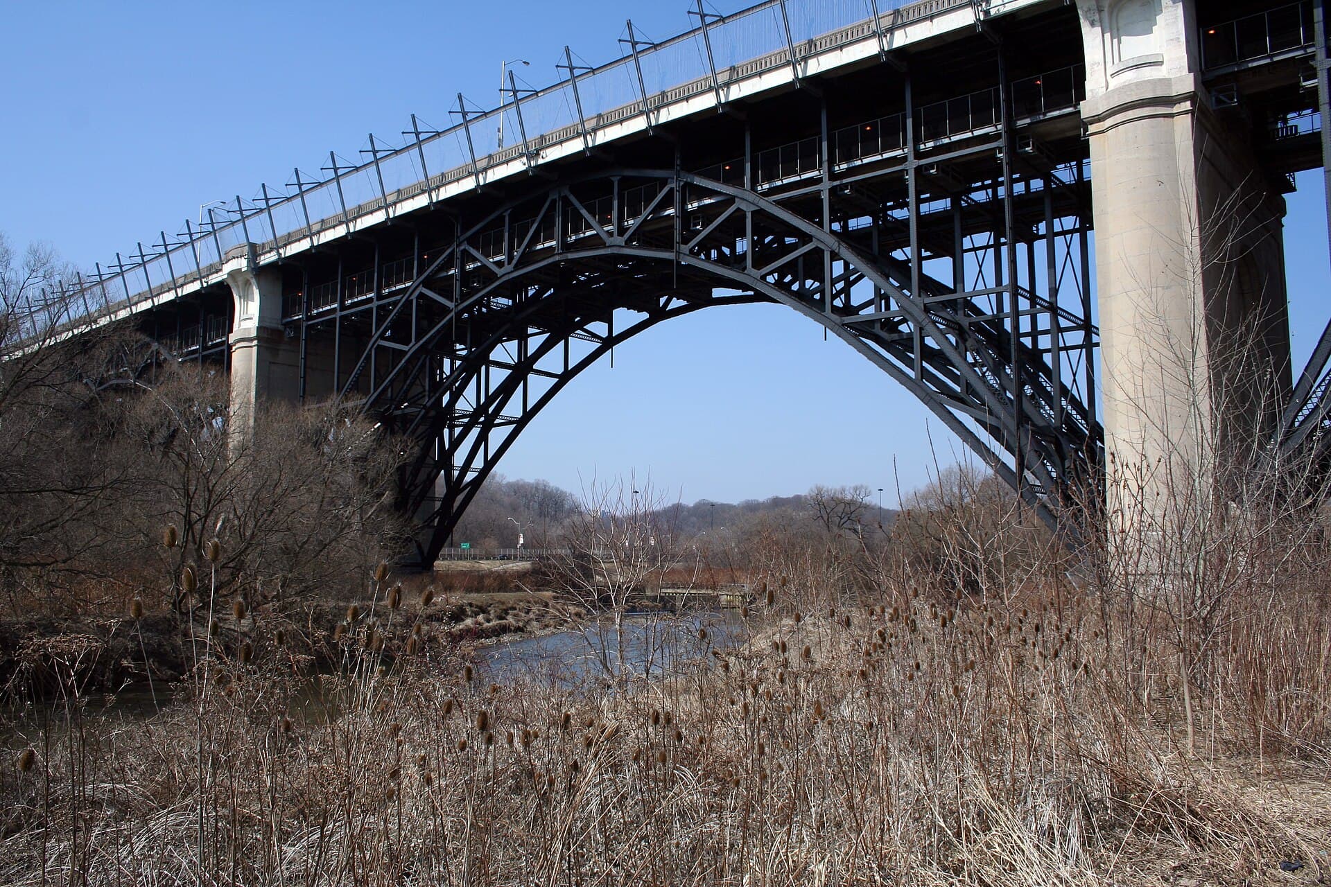 Looking up at the viaduct from the valley